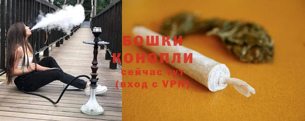 стафф Богородск