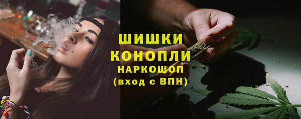 стафф Богородск
