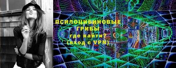 mdpv Богданович