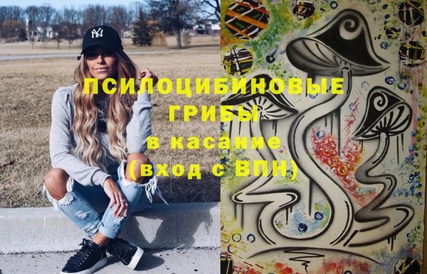 mdpv Богданович